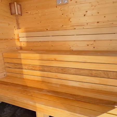 Pensiunea Marea Alpina, Maramures 4* Ocna Sugatag