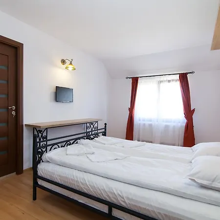 Pensiunea Marea Alpina, Maramures 4* Ocna Şugatag