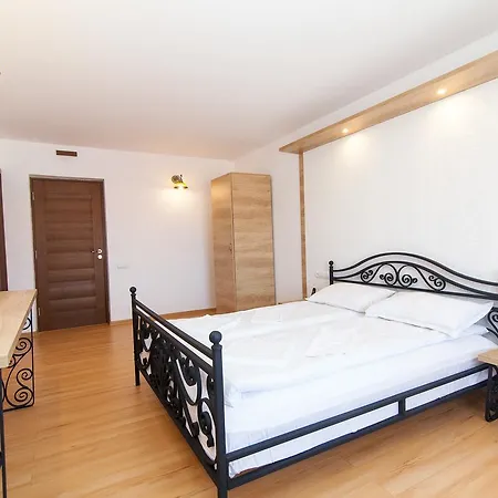 Pensiunea Marea Alpina, Maramures 4* Ocna Sugatag