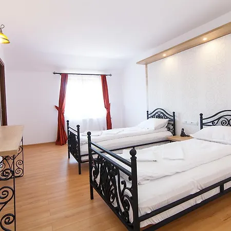 Pensiunea Marea Alpina, Maramures 4* Ocna Sugatag